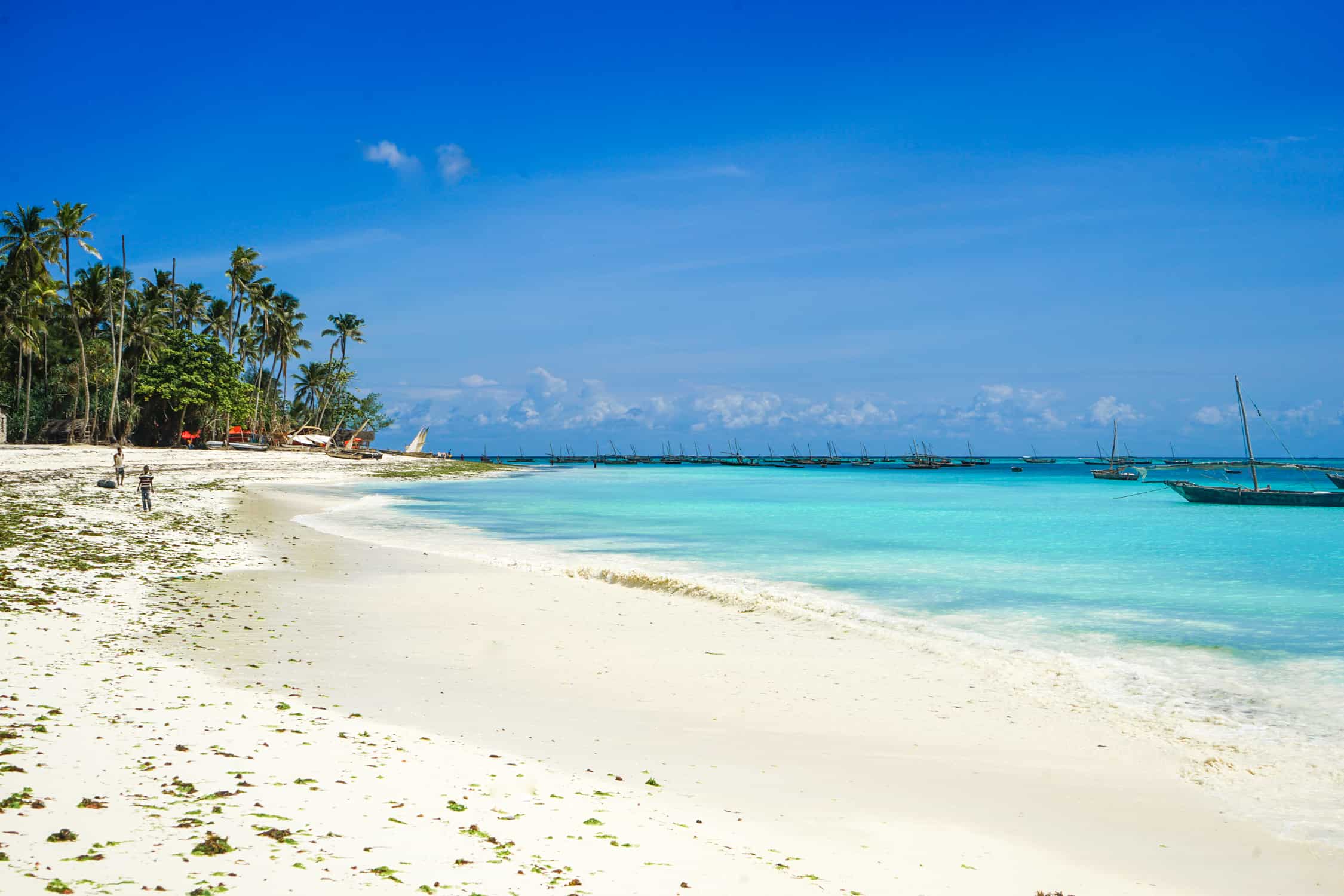 Beach in Zanzibar