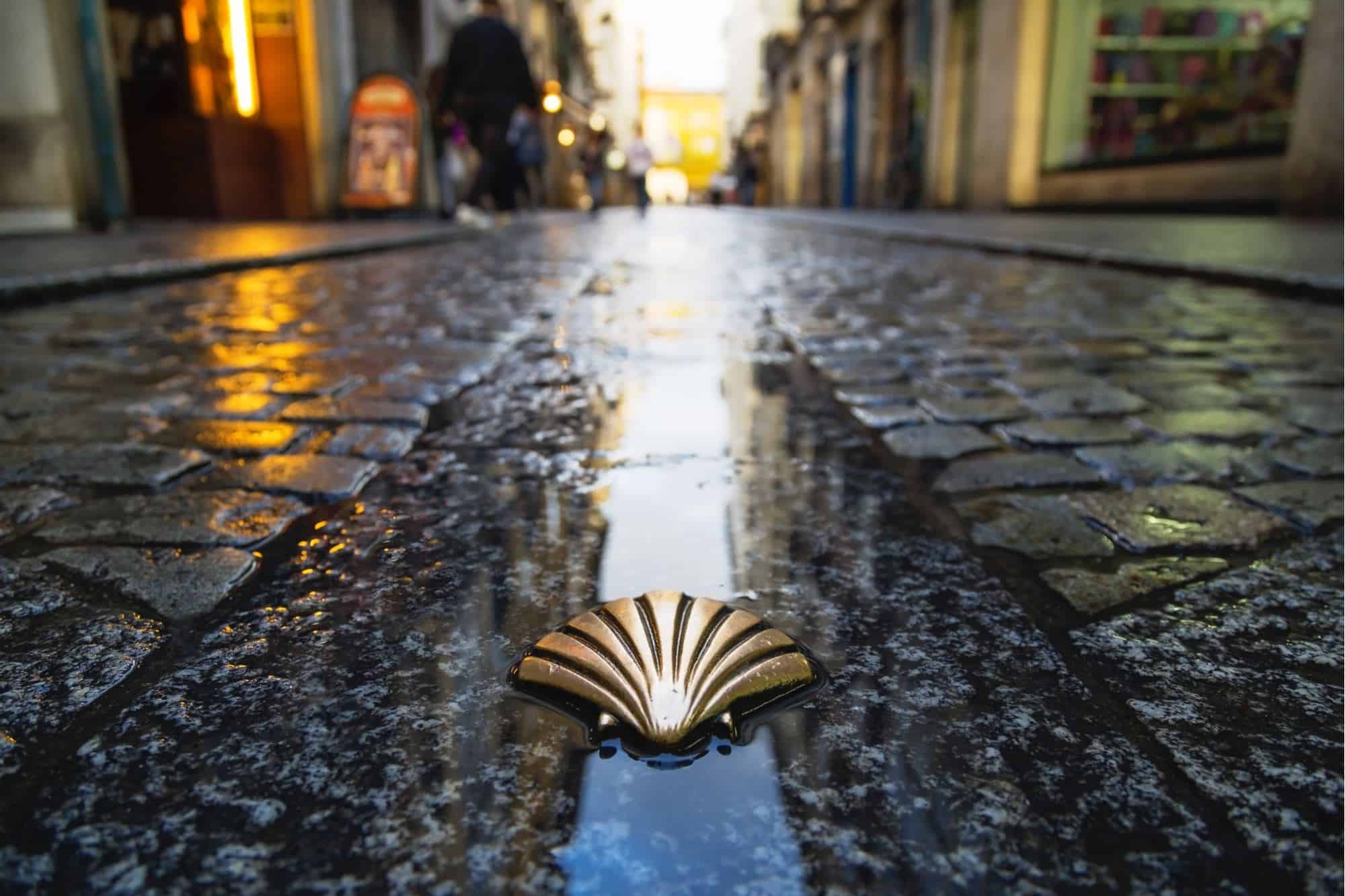 Camino shell on the road