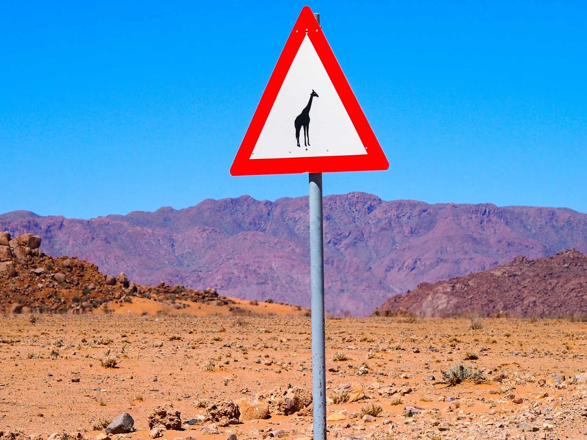 Giraffe sign in Namibia