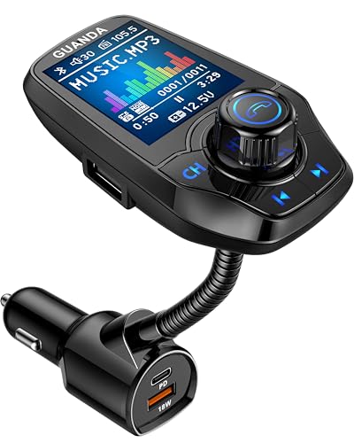 Best for Input Options:&nbsp;Guanda Technologies FM Transmitter