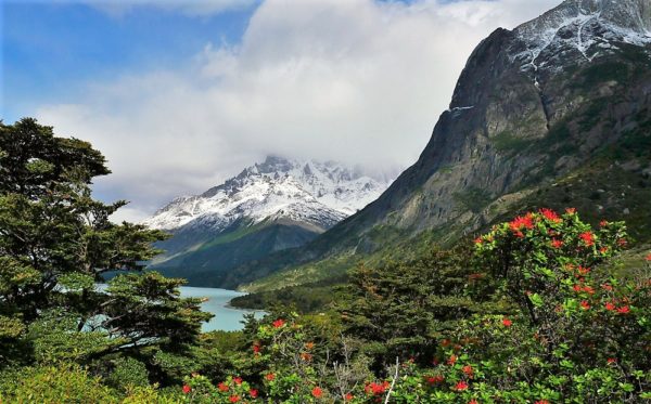 View of snow-capped mountains in Patagonia